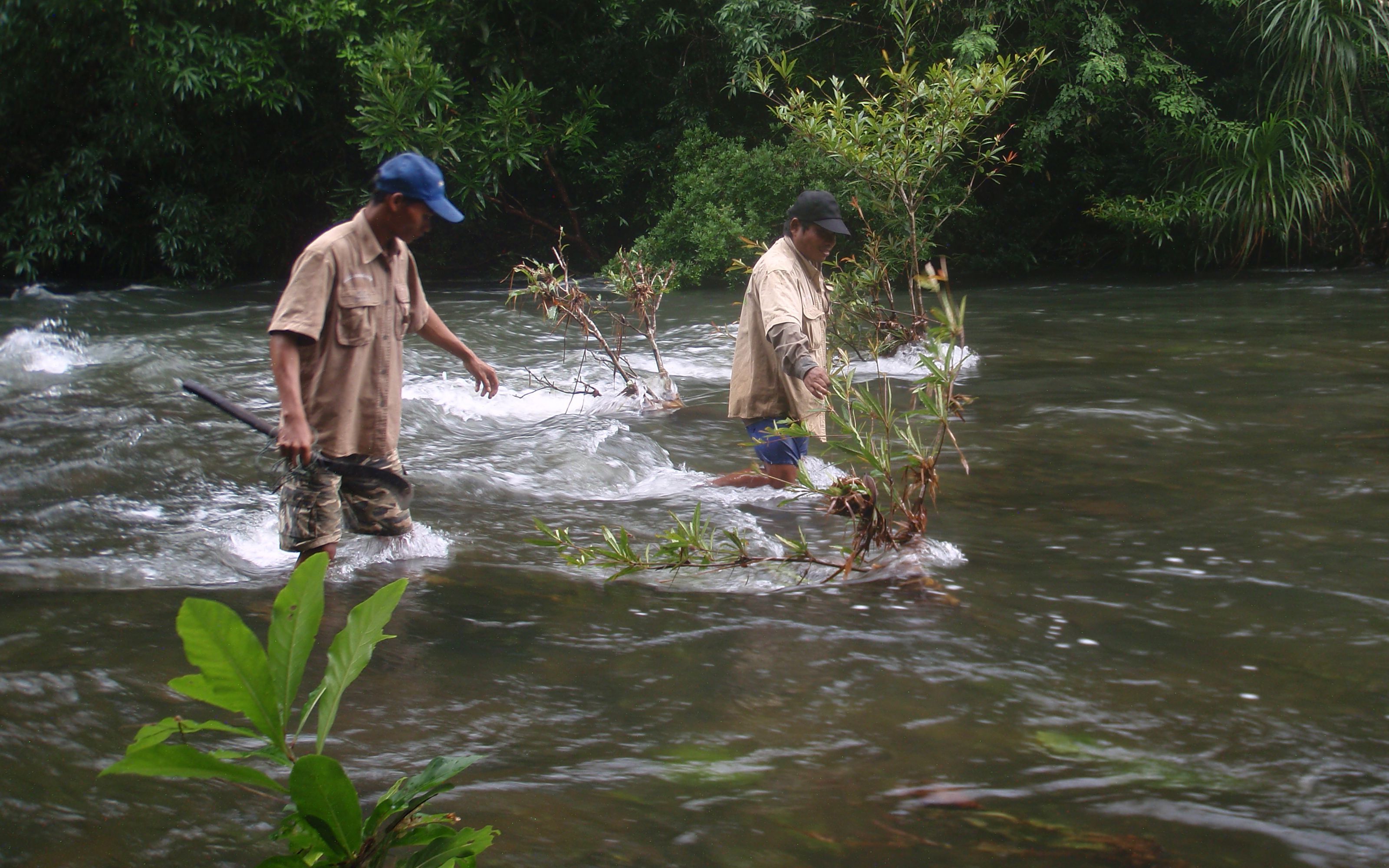 Patrolling with forest rangers in Chi Phat