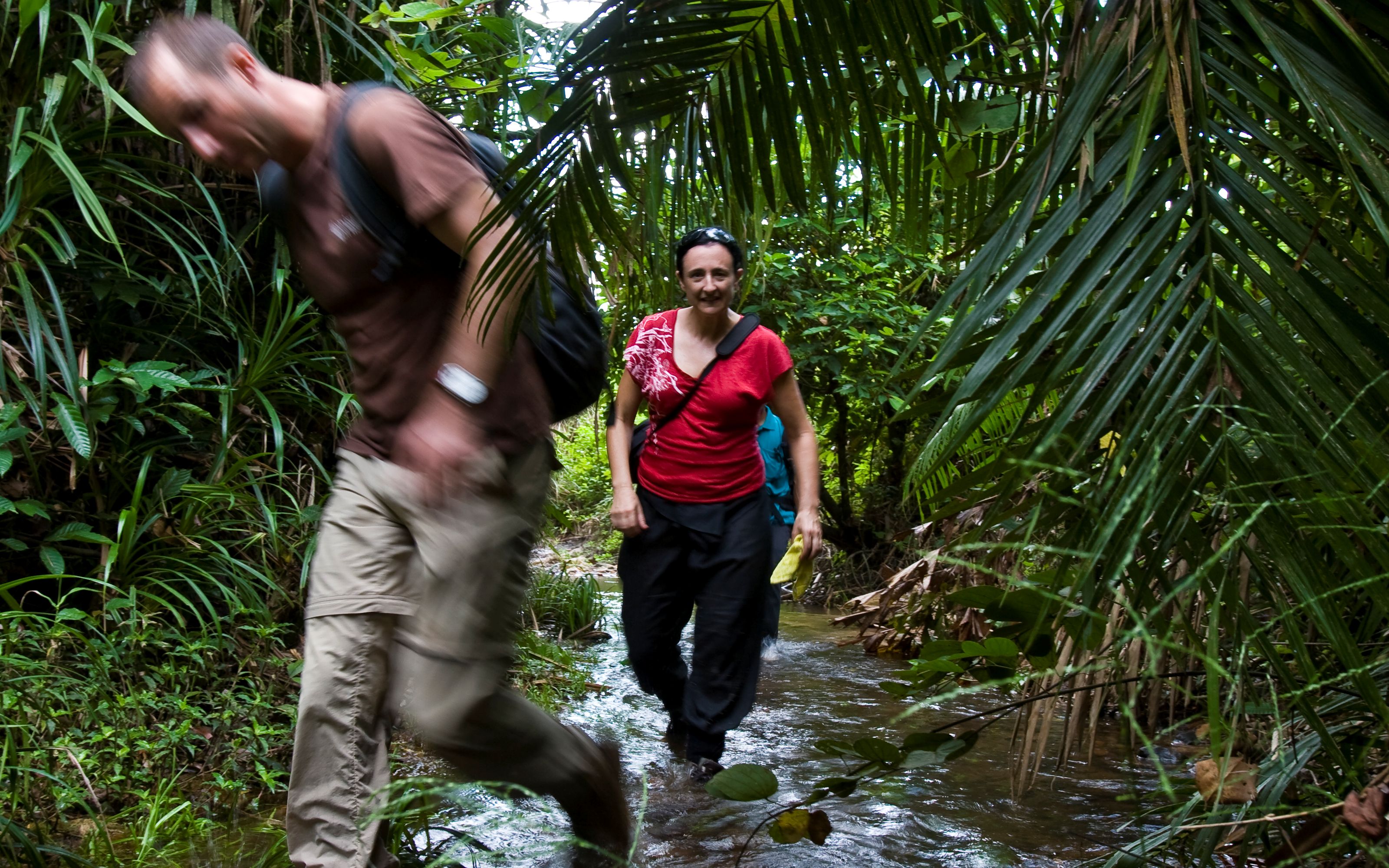 Trekking in Chi Phat